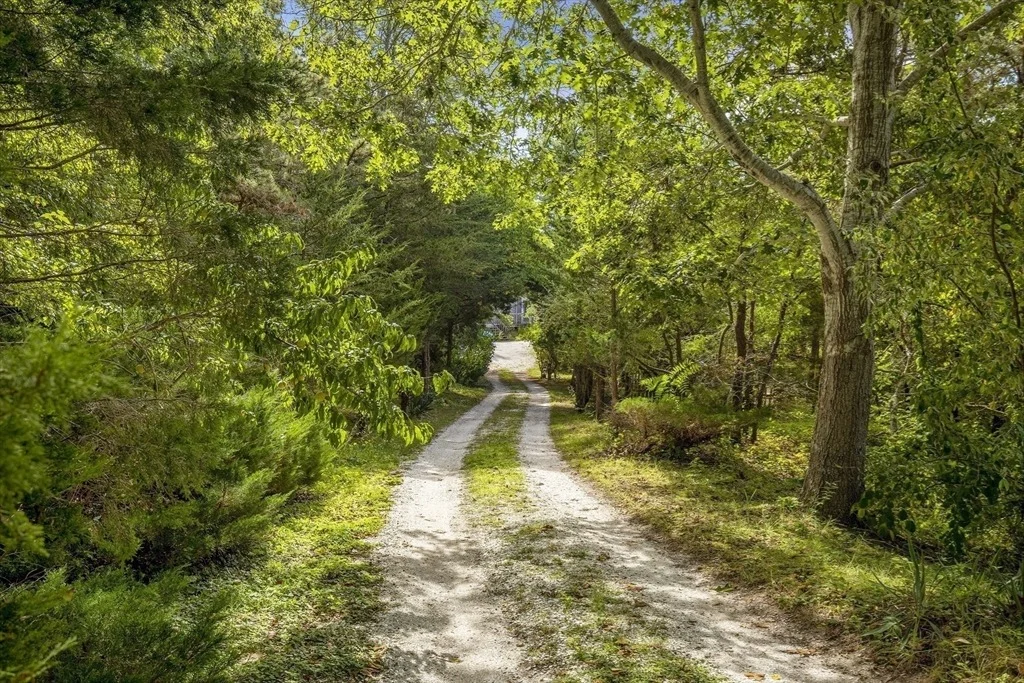 Photo of 225 Coles Neck Rd
