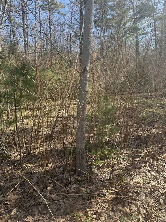 Photo of 0 Camp Rd