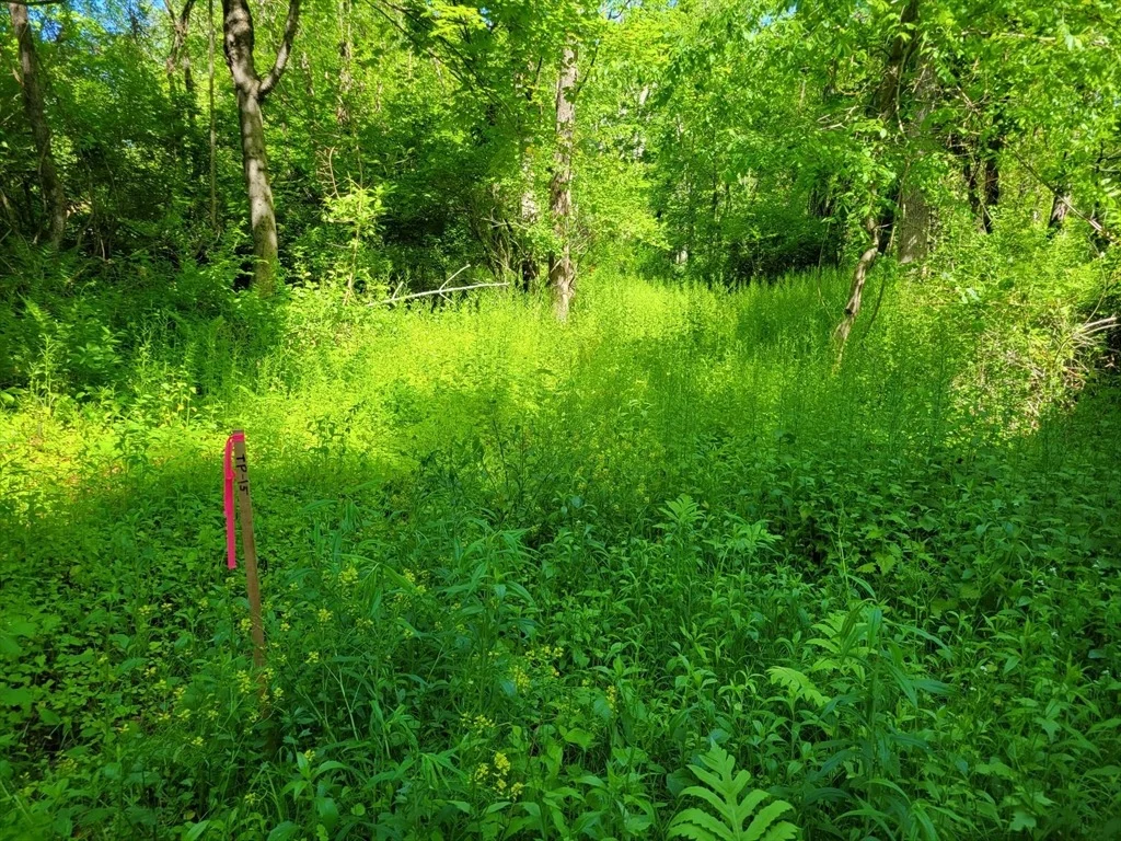 Photo of Lot 6 Daniels Rd