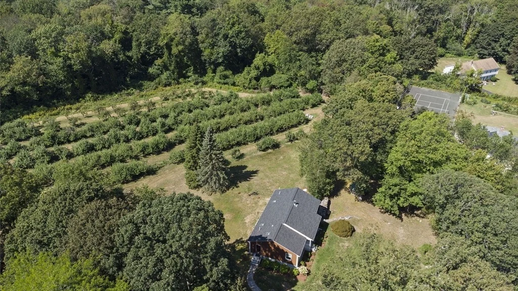 Photo of 37 Chamberlain Rd