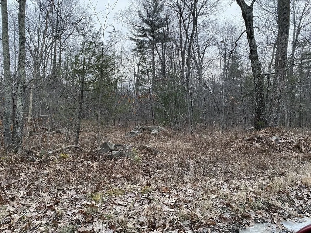 Photo of Lot 169-22 Beebe Rd