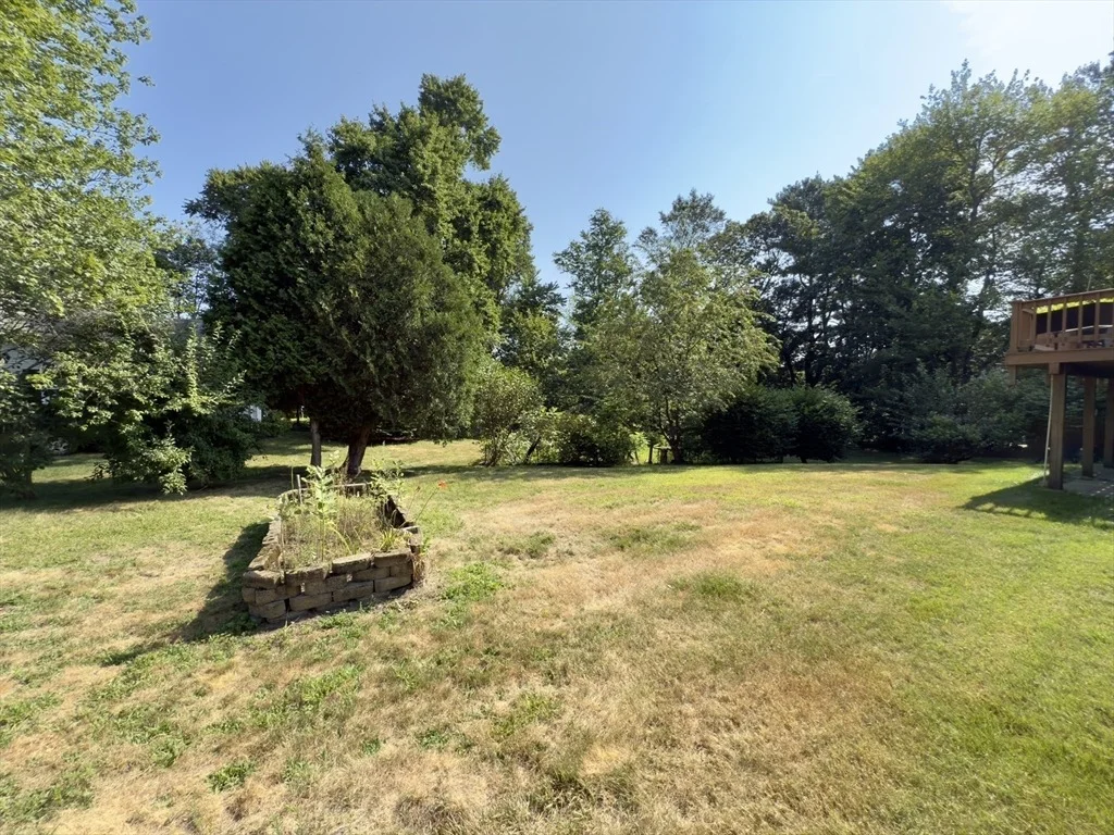 Photo of 29 Fredrickson Rd