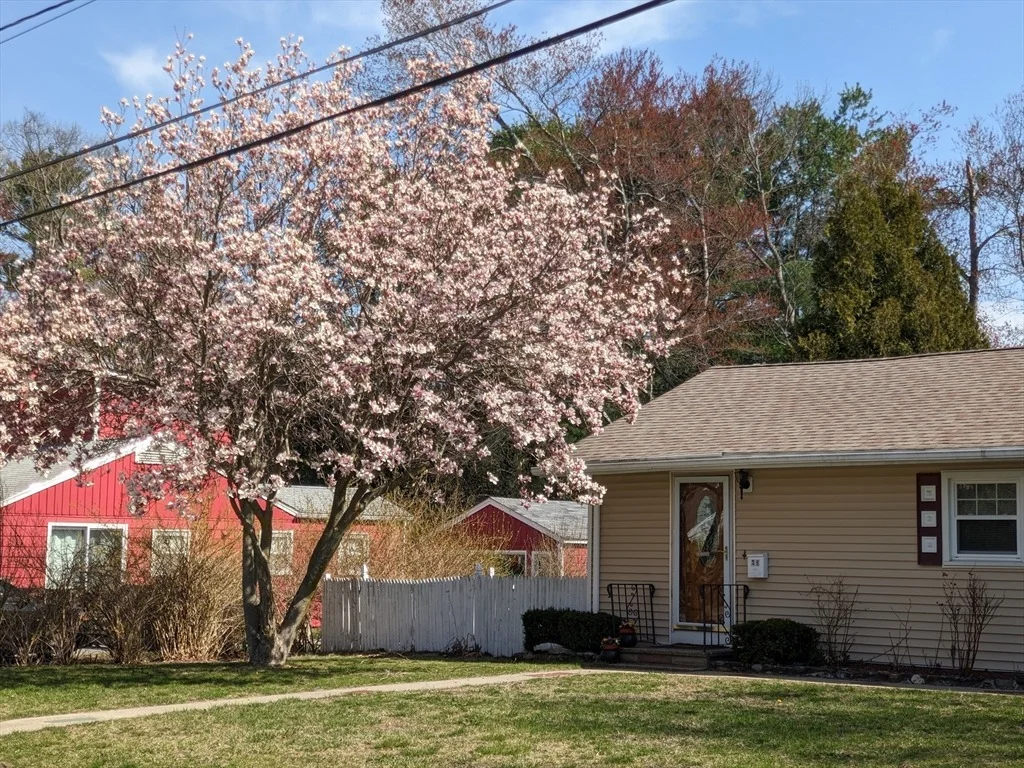 Photo of 25 Randall Rd