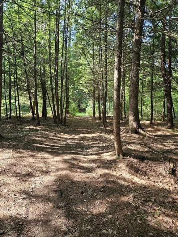 Photo of 0 Branch Bridge Rd