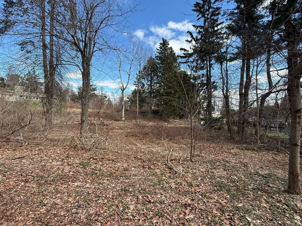 Photo of 11 Walbridge Road
