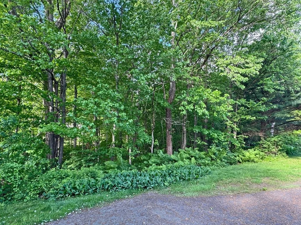 Photo of 486 Turners Falls Road