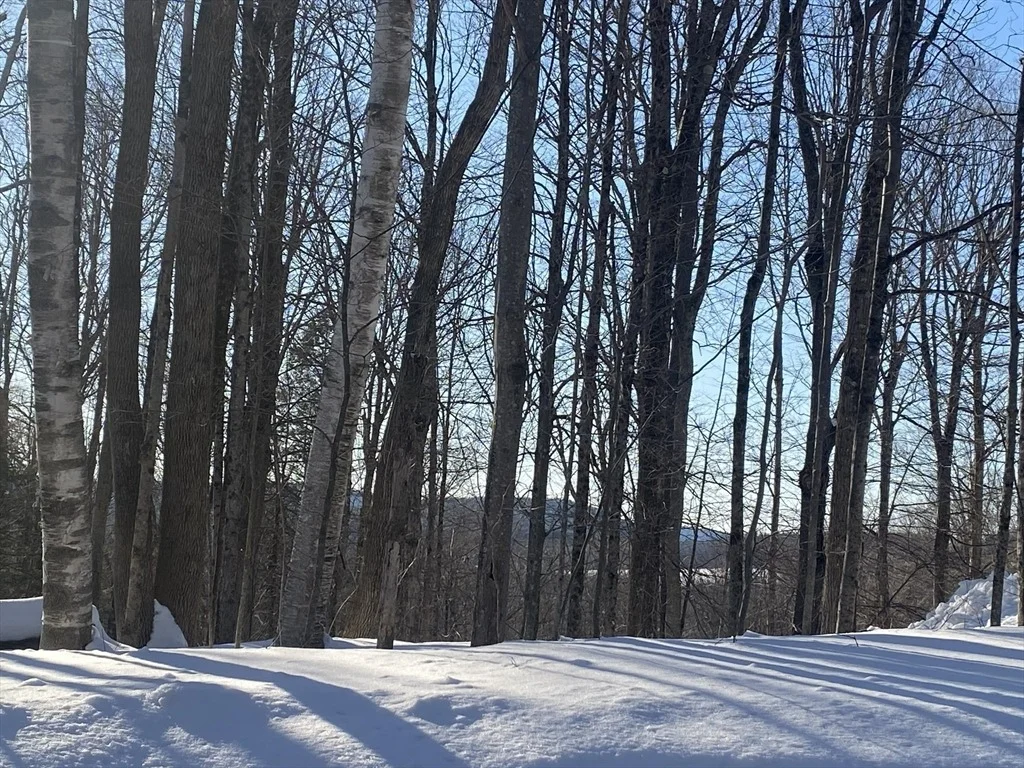 Photo of Lot 15 Colebrook River Rd