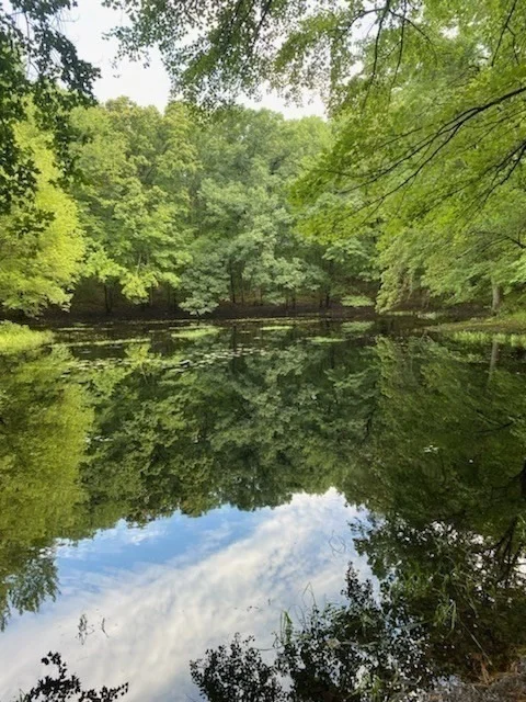 Photo of 723 Ryan Road, Lot B