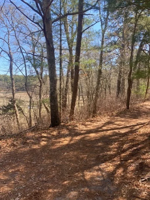 Photo of 24 Amos Landing Rd