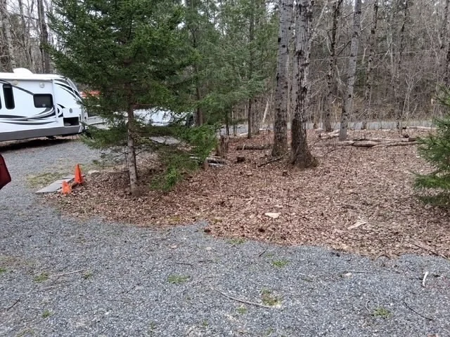 Photo of 41 Brier Rd
