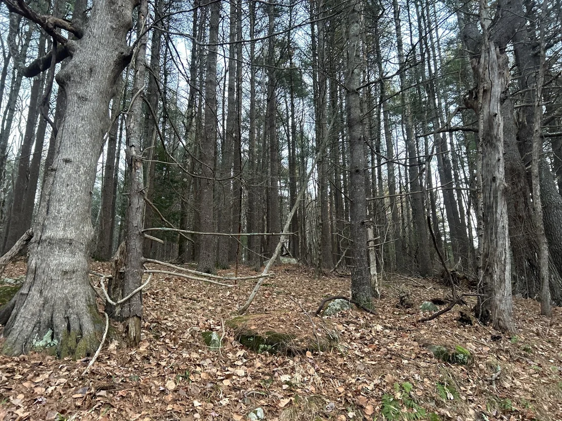 Photo of 32 South Rd