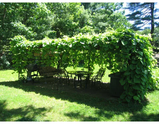 Photo of 33 Shaw St
