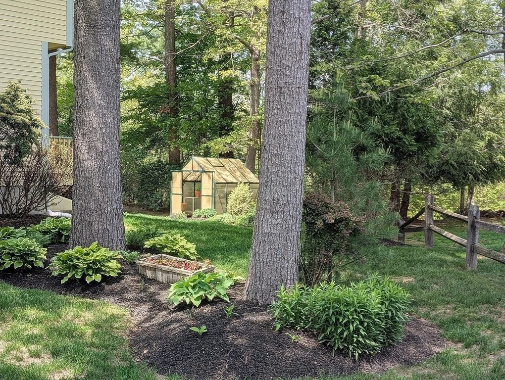 Photo of 7 Shannon Lane