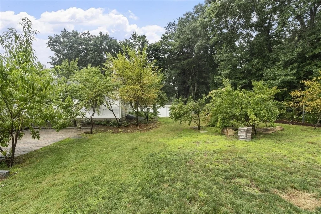 Photo of 67 Taylor Road