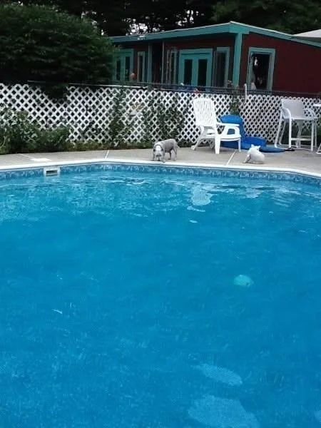 Photo of 210 Plain Dr