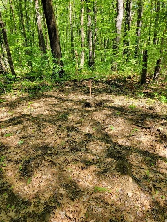 Photo of Lot 5 Daniels Rd