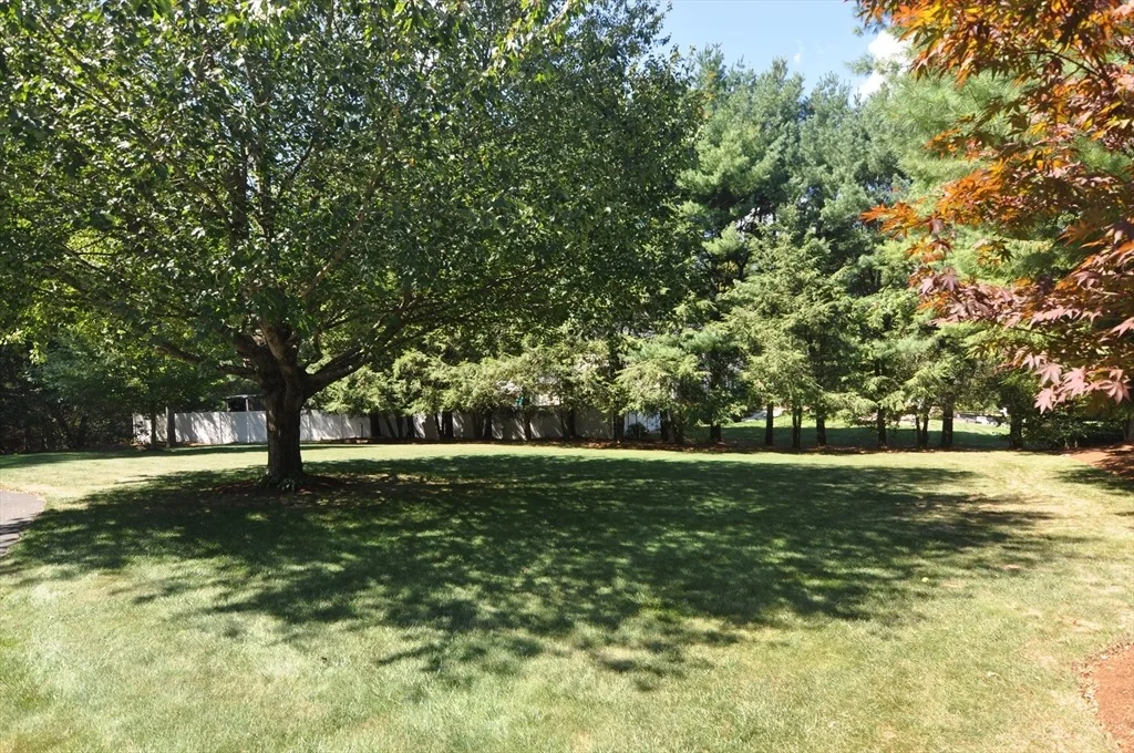 Photo of 8 James Ave