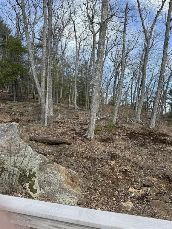 Photo of 335 Mashapaug Rd