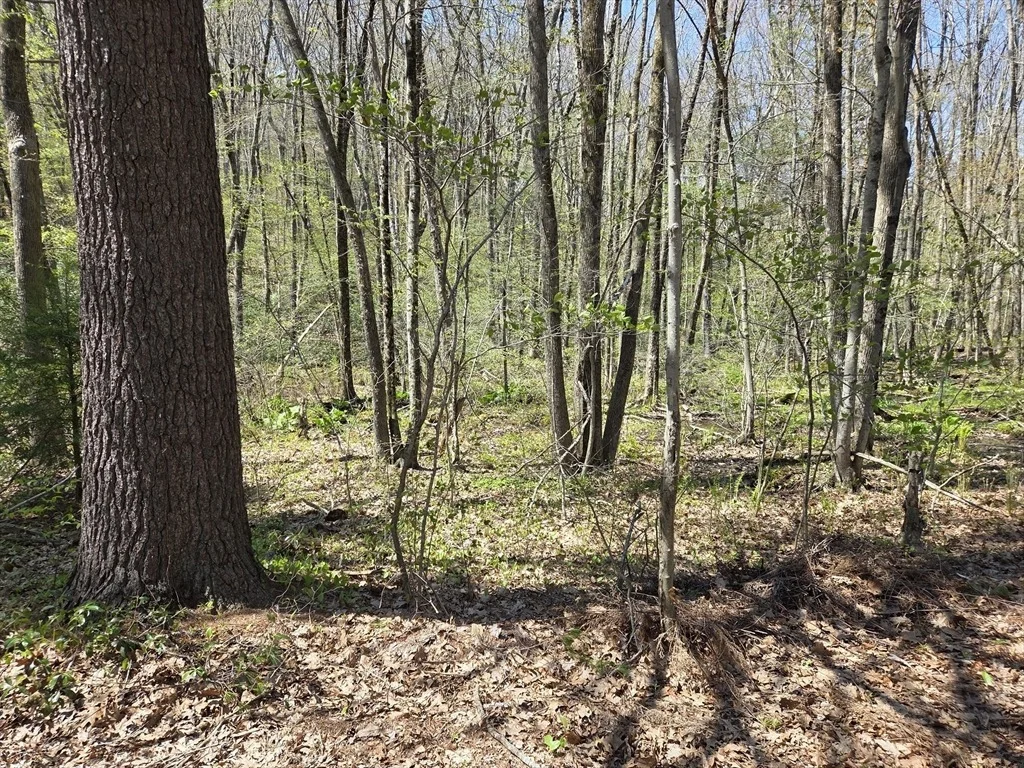 Photo of 0 Union Road