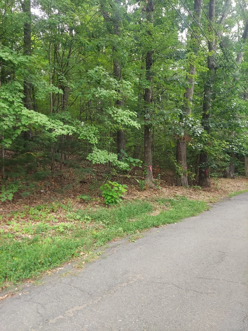 Photo of 1005 Park Hill Road