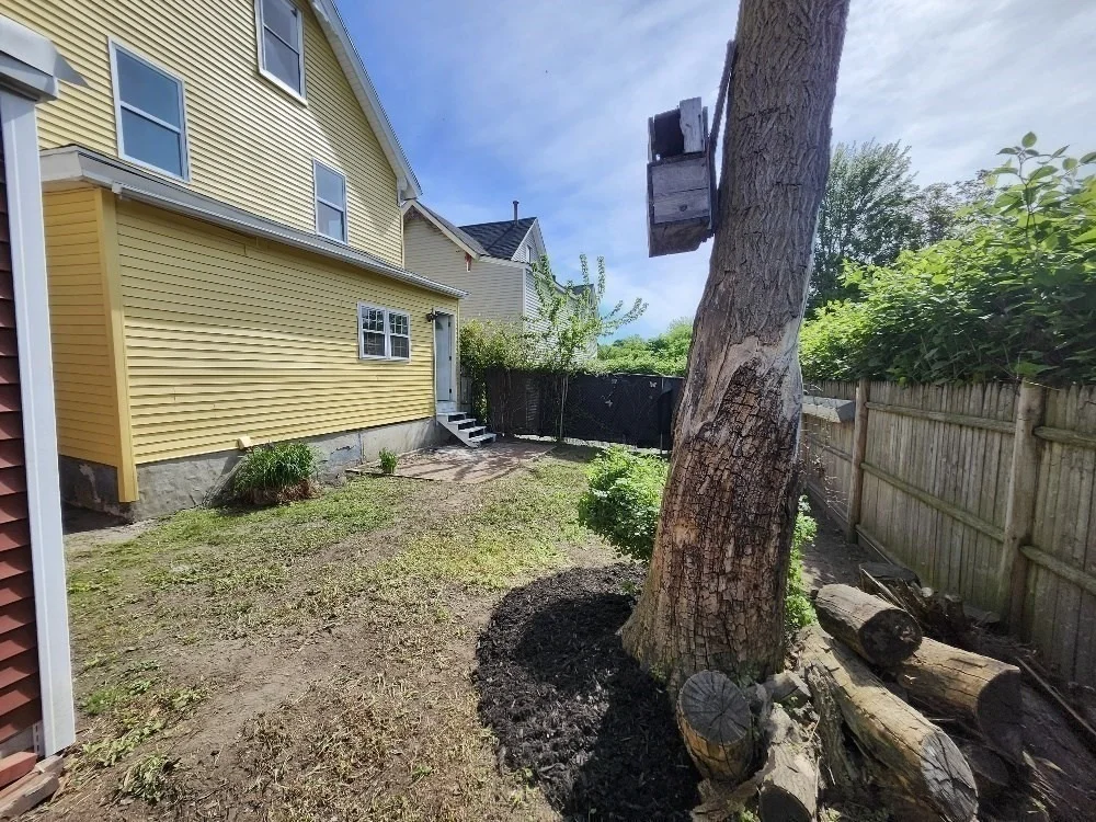 Photo of 15 Carter Ave