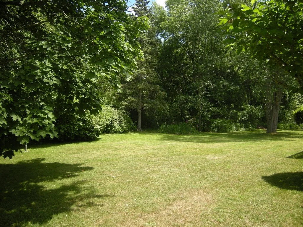 Photo of 20 Curtis Road