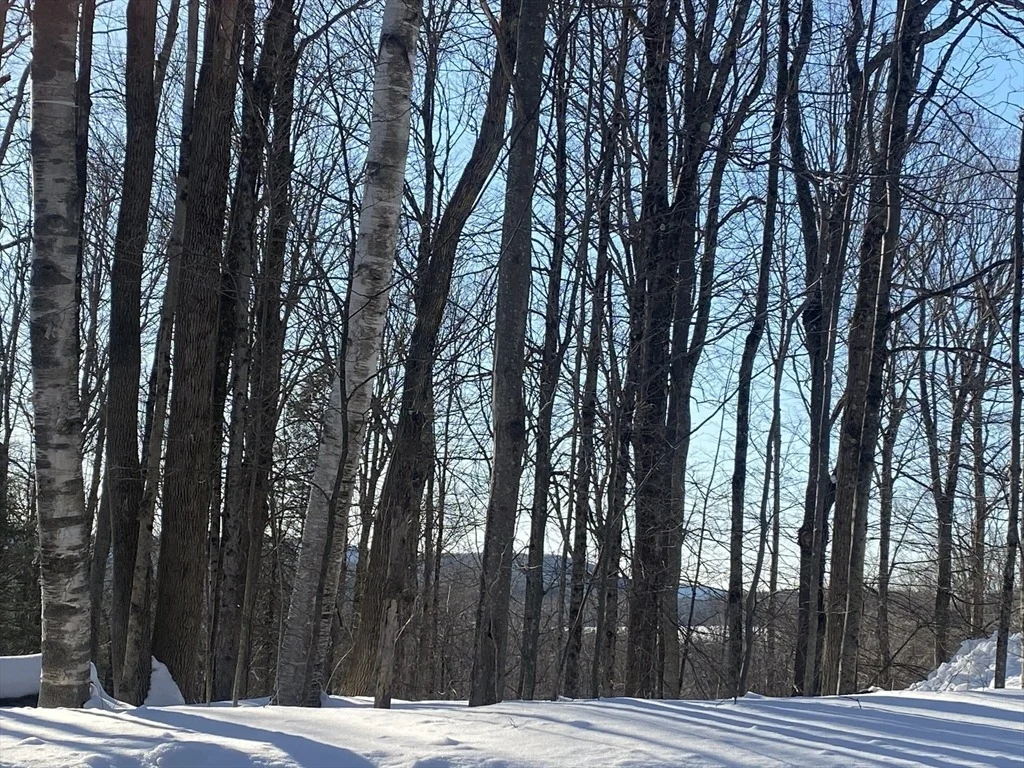 Photo of Lot 15 Colebrook River Rd