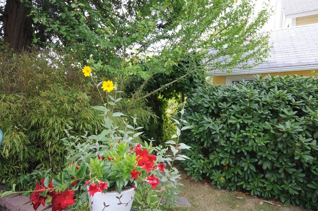 Photo of 48 Highland Ave Onset