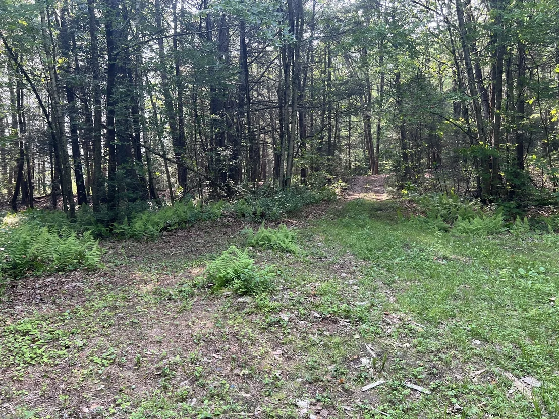 Photo of 140 Bond Rd