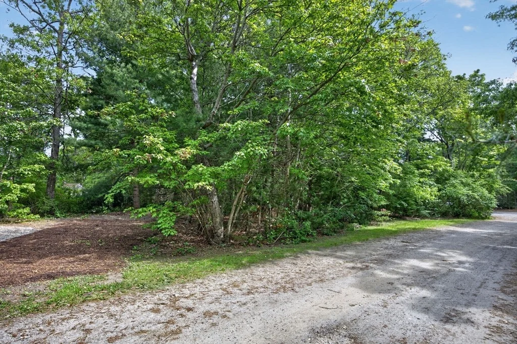Photo of 20 Hirsch