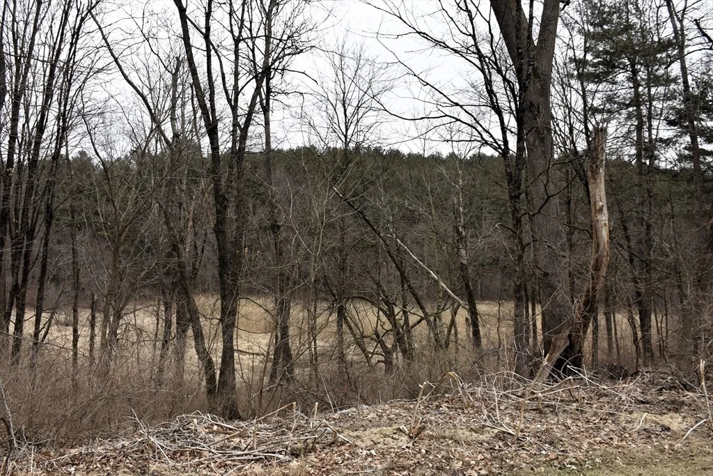Photo of 36 Center Rd