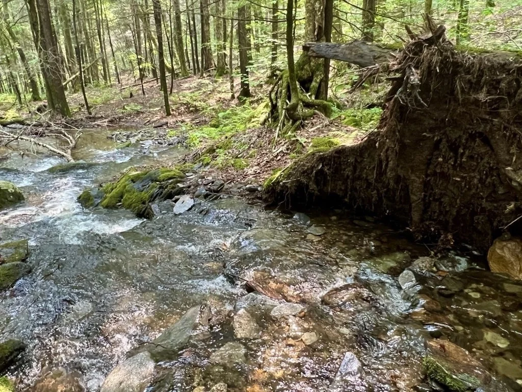 Photo of 80 River Road
