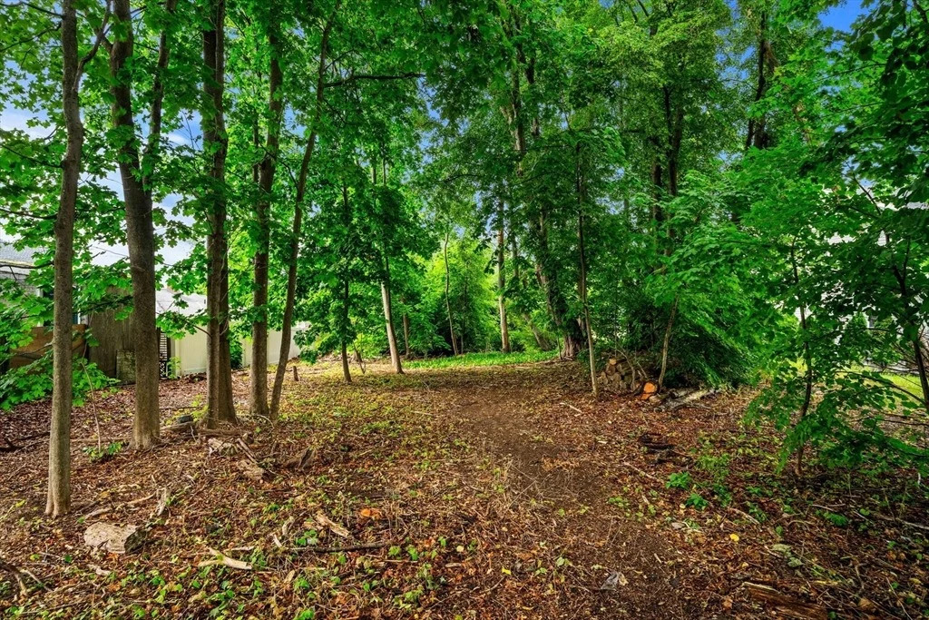 Photo of 239 Nahant Road