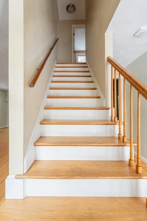 Photo of 16 Michael Road