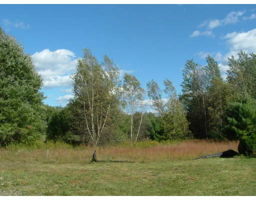Photo of Lot 8 Meadow Dr.