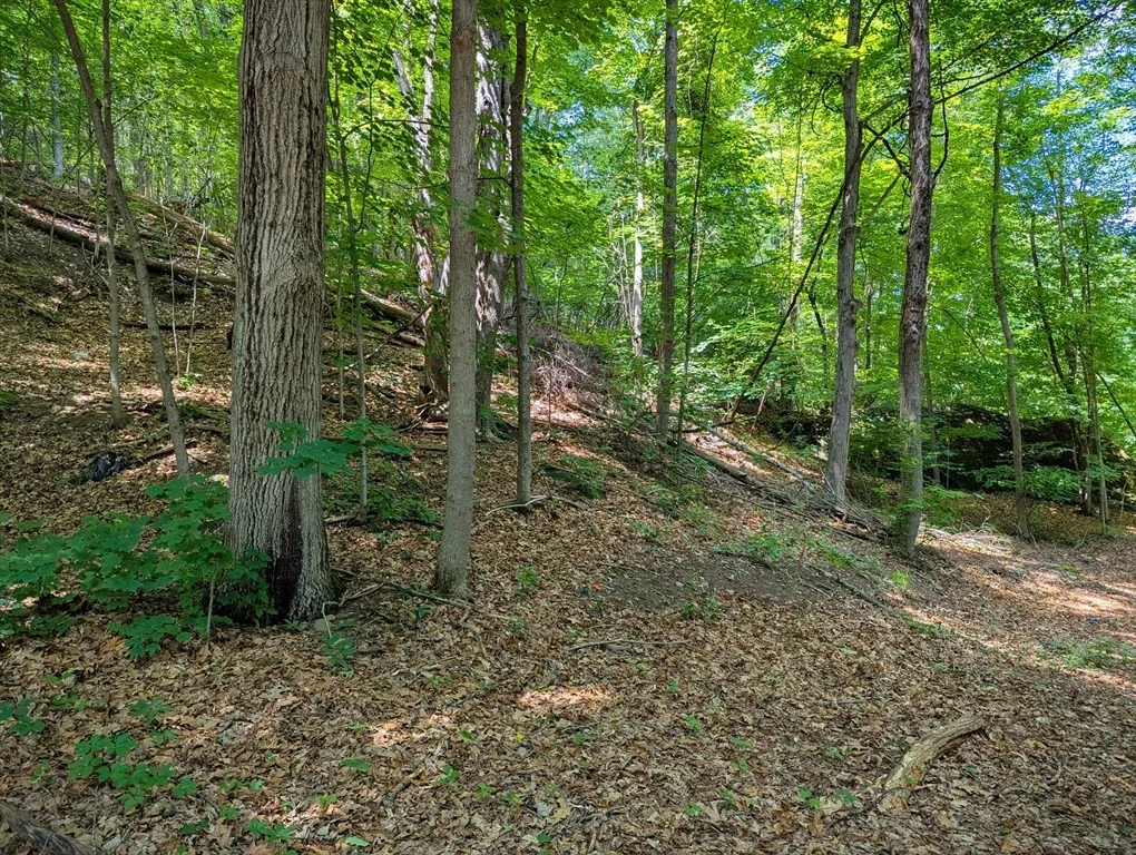 Photo of 81 Pomeroy Ter