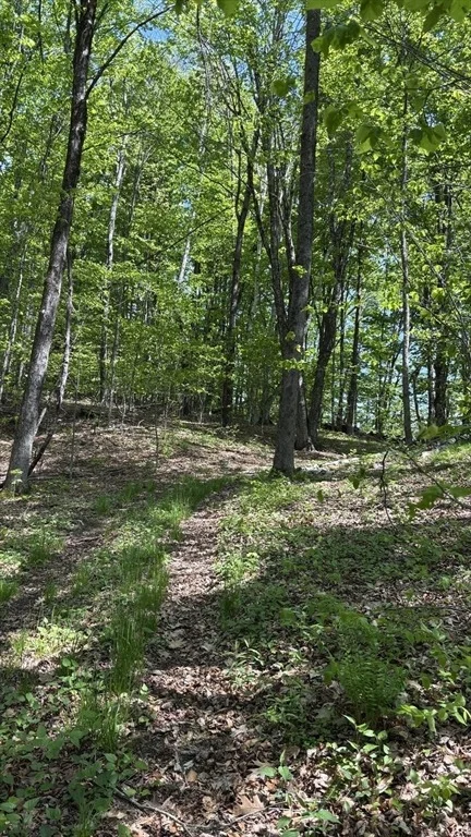Photo of 66 Reils Lane