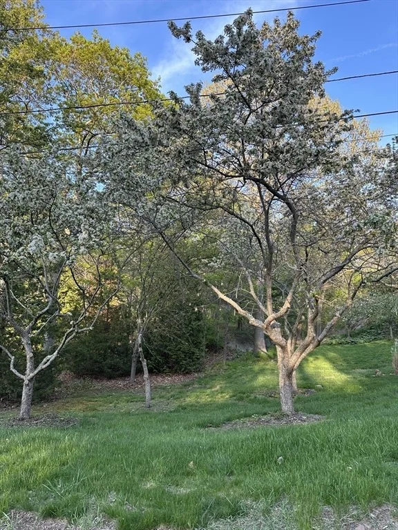 Photo of 2 Orchard Lane
