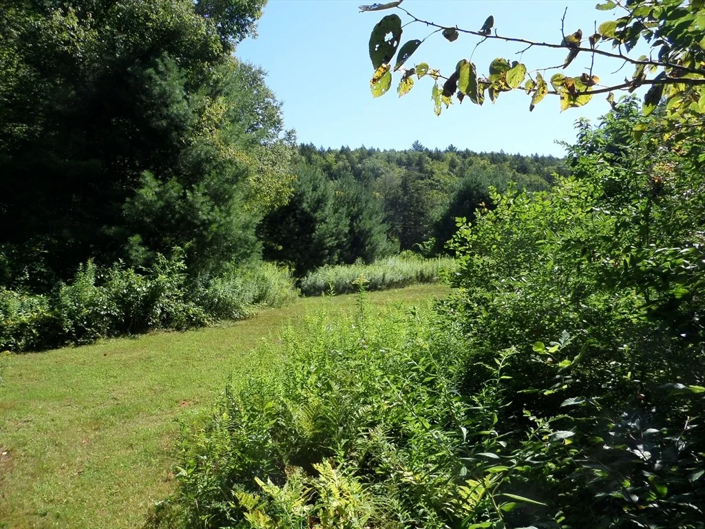 Photo of 155 River Rd