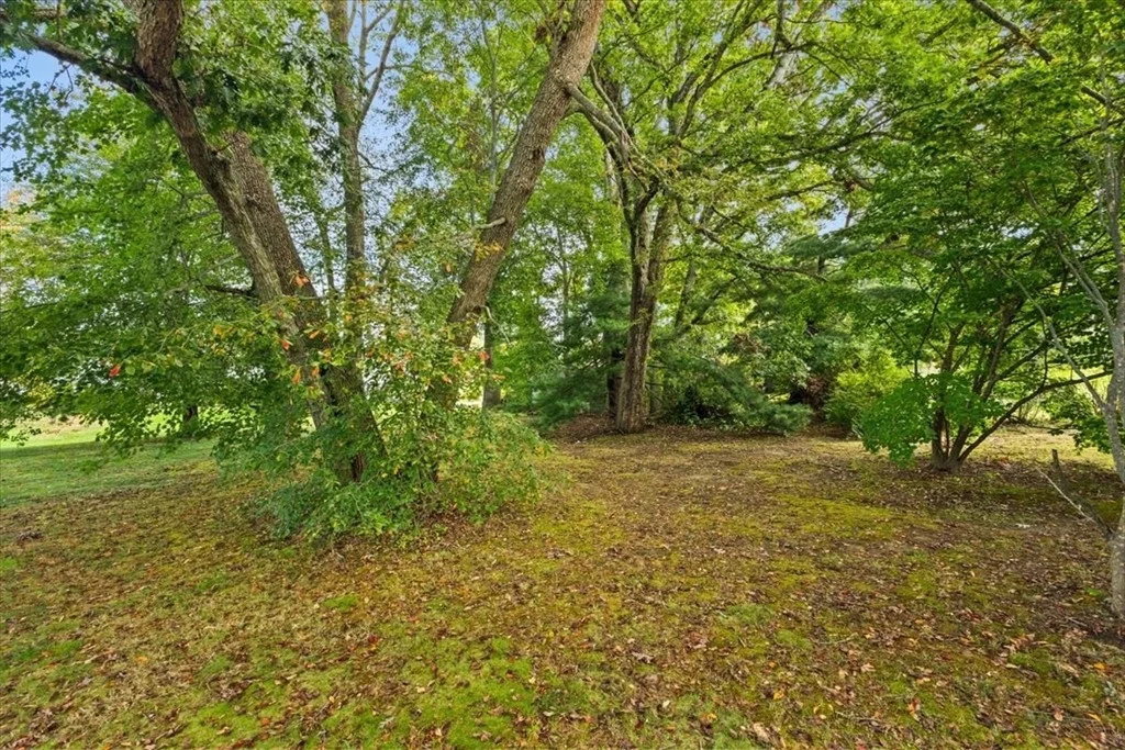 Photo of 0 Rich St