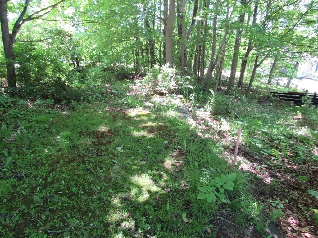 Photo of Lot 6.2 Gardner Road