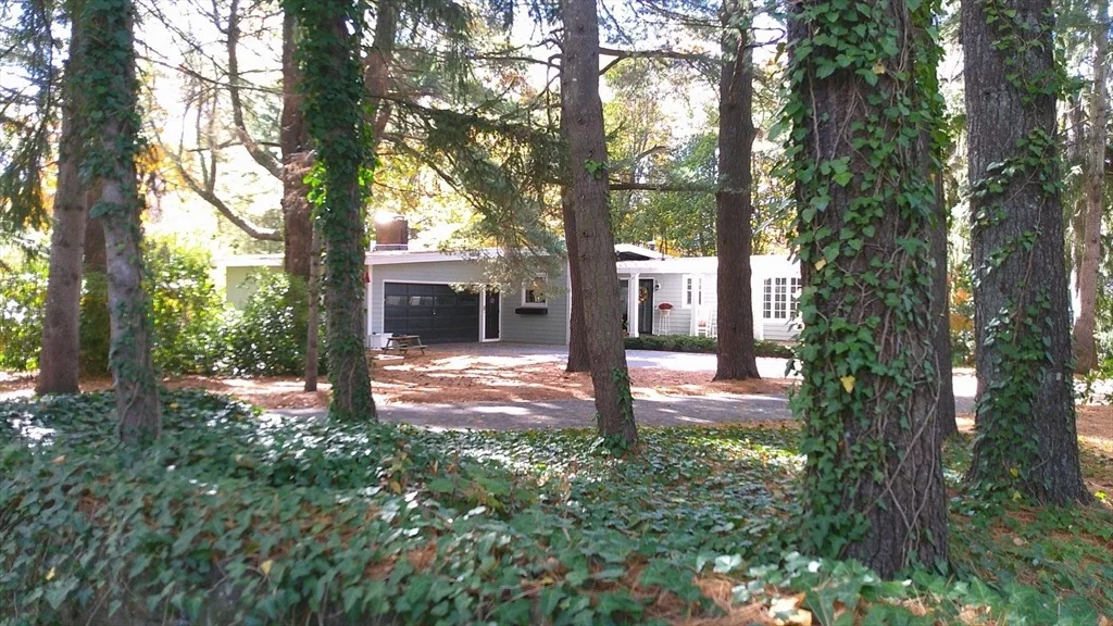 Photo of 21 Brackenbury Ln