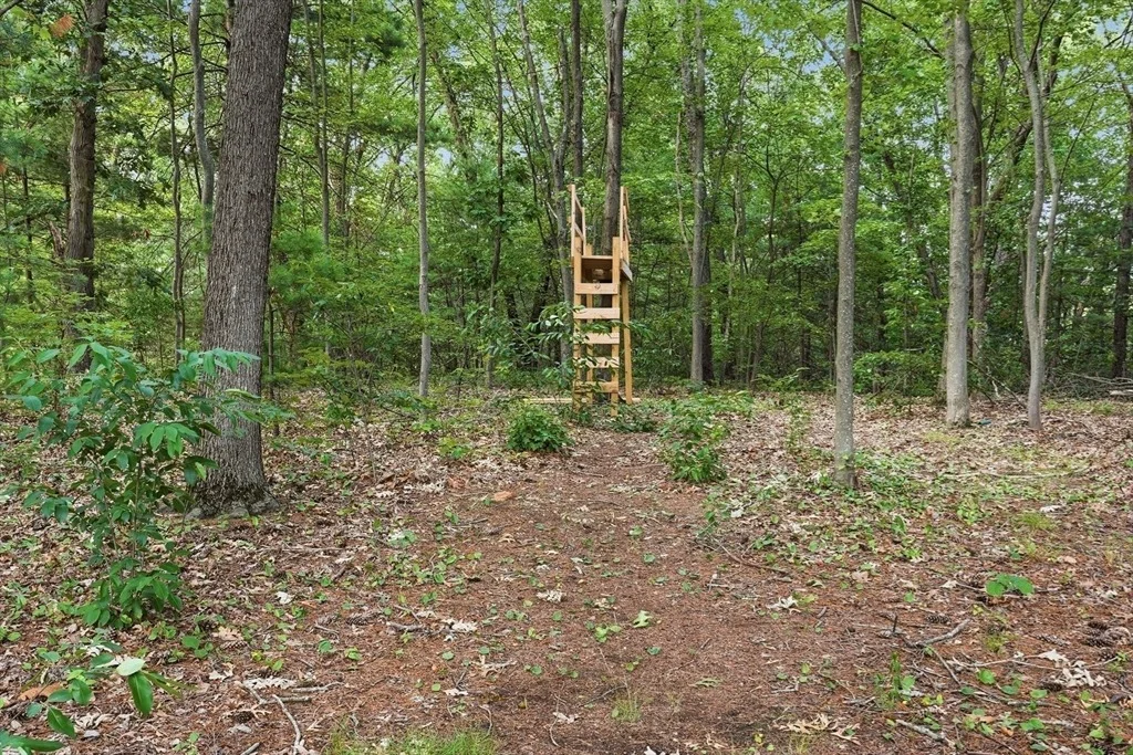 Photo of 28 Spring Rd