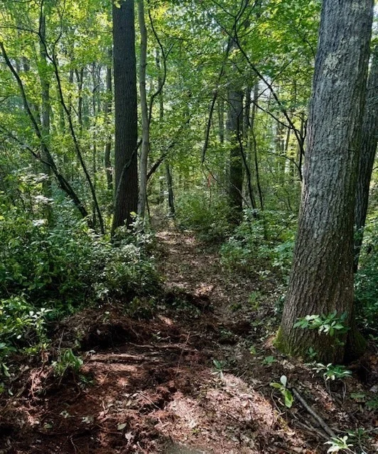Photo of Lot 2 Nw Main Street