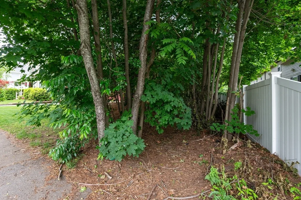 Photo of 63 Adams St