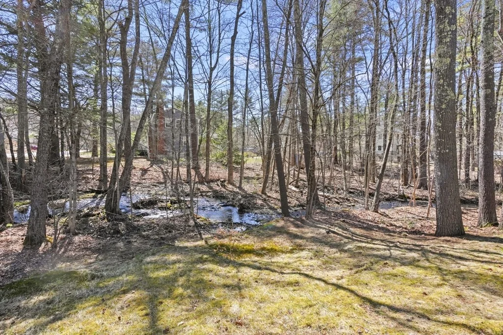 Photo of 15 Proctor Road