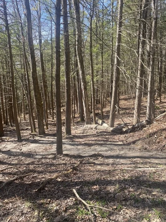 Photo of Lot 23-25 Hawk Hill Rd