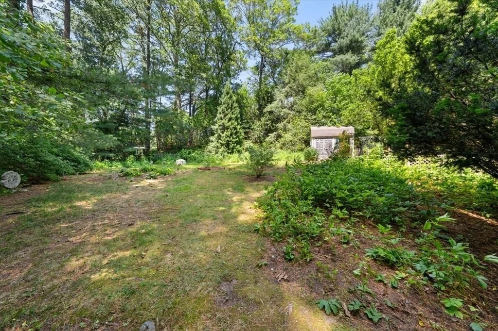 Photo of 449 Brook Street