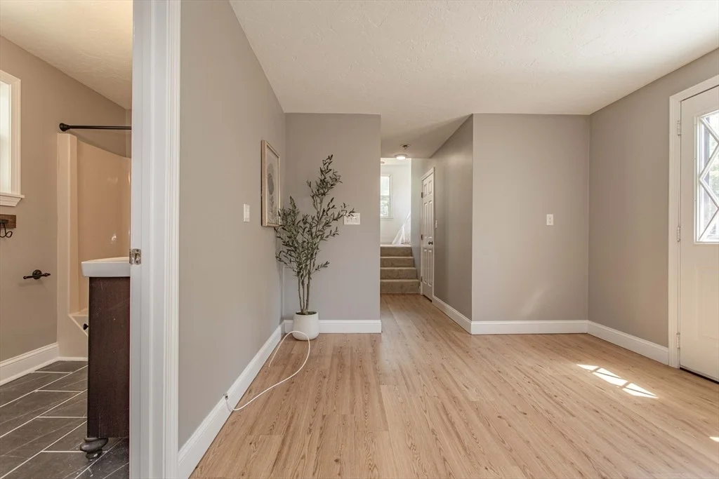 Photo of 167 Winter Street