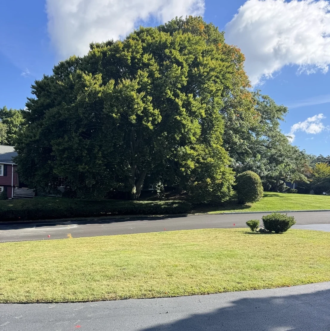 Photo of 40 Woodfall Rd